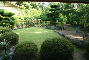 貸し別荘「テラス城ヶ崎」の庭には、野鳥やリスが訪れています